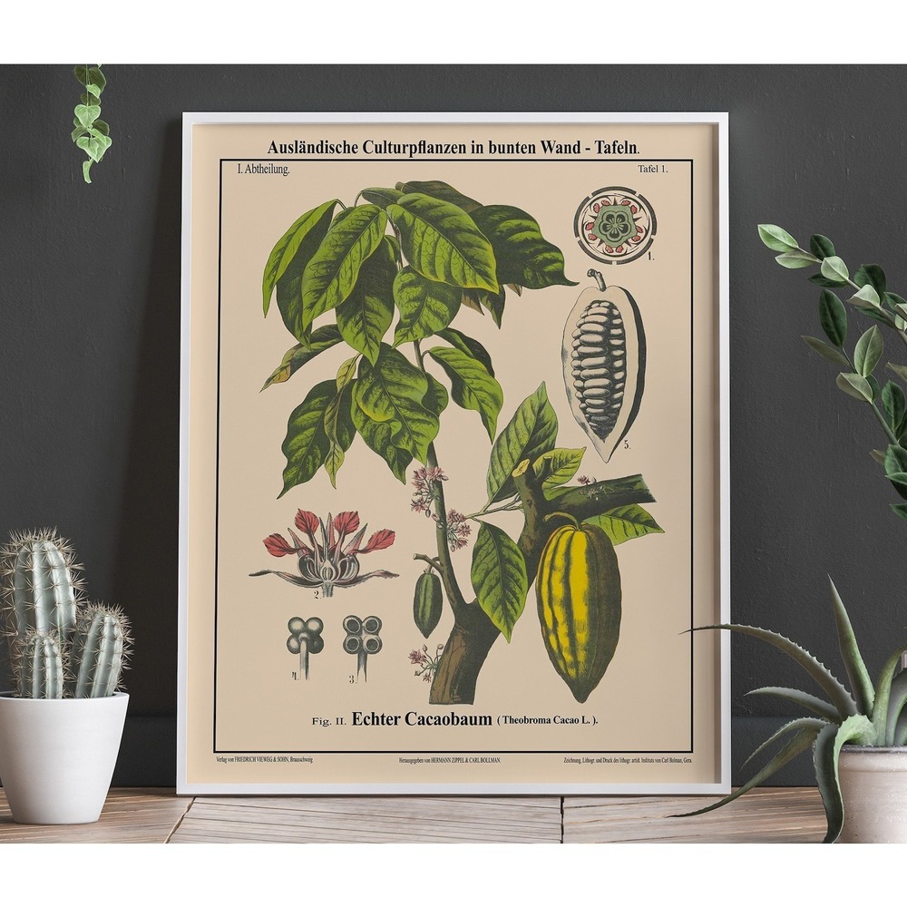 Cacao Tree Botanical Wall Art Cacao Tree Chocolate Poster